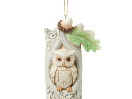 Wdlnd Owl in Tree Ornament For Cheap